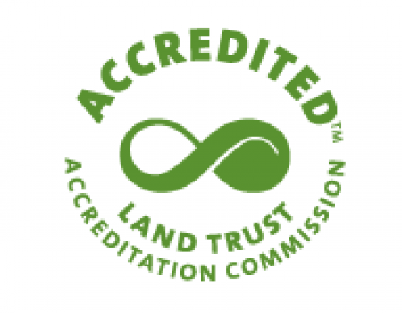 accreditation seal