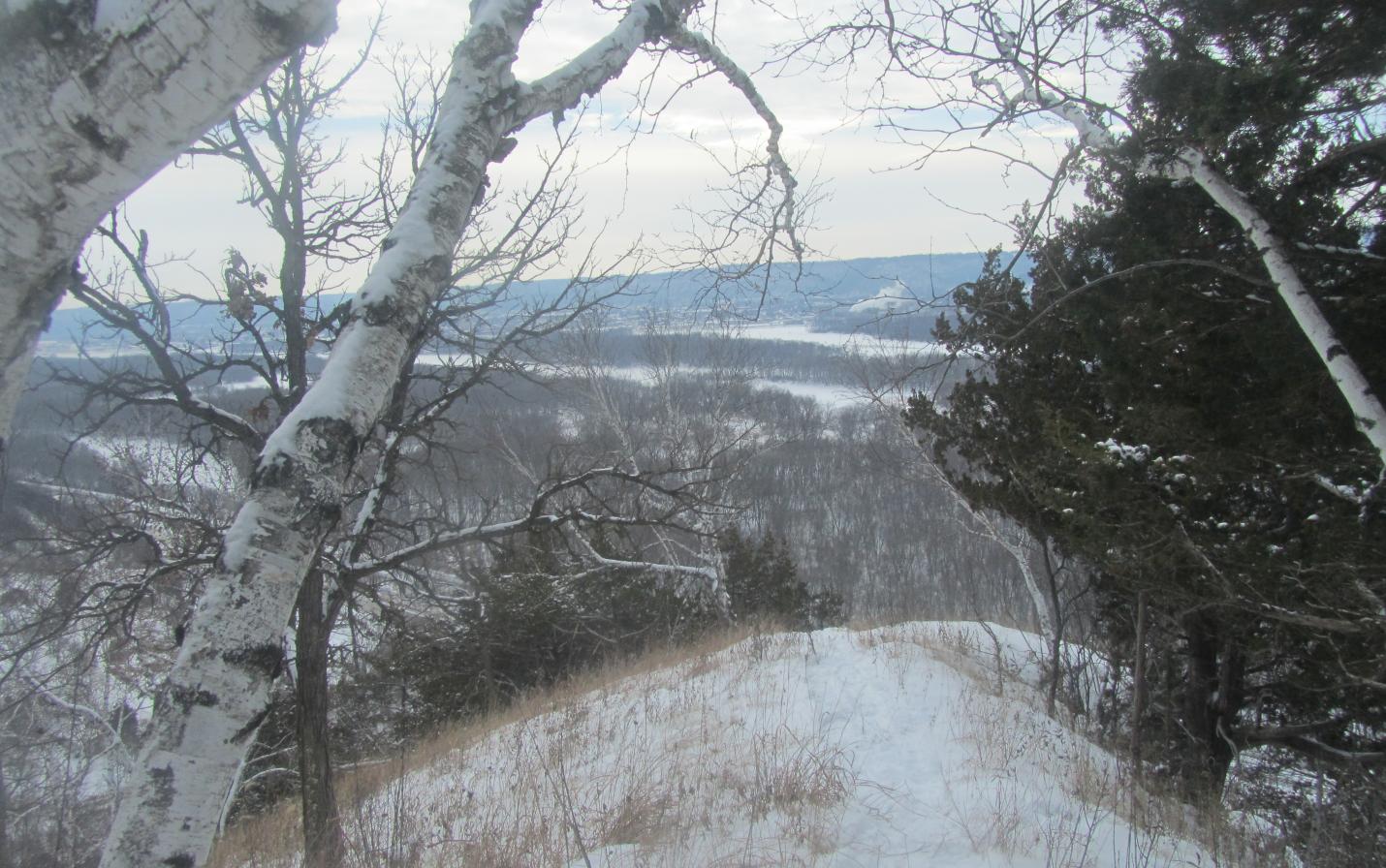 Mississippi River valley view from top of Angel Bluff