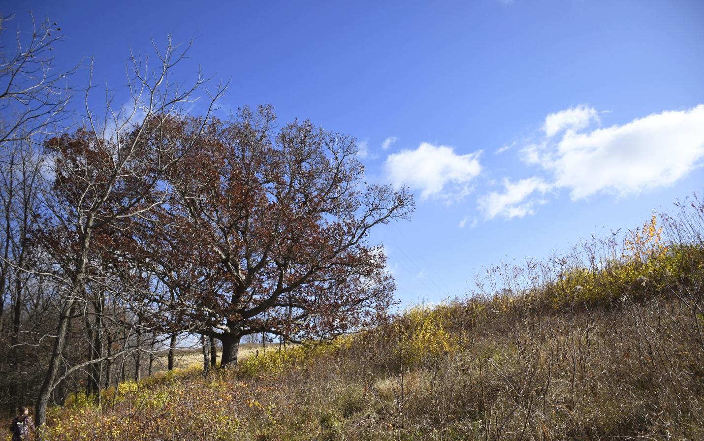 grassland restores for climate and water protection