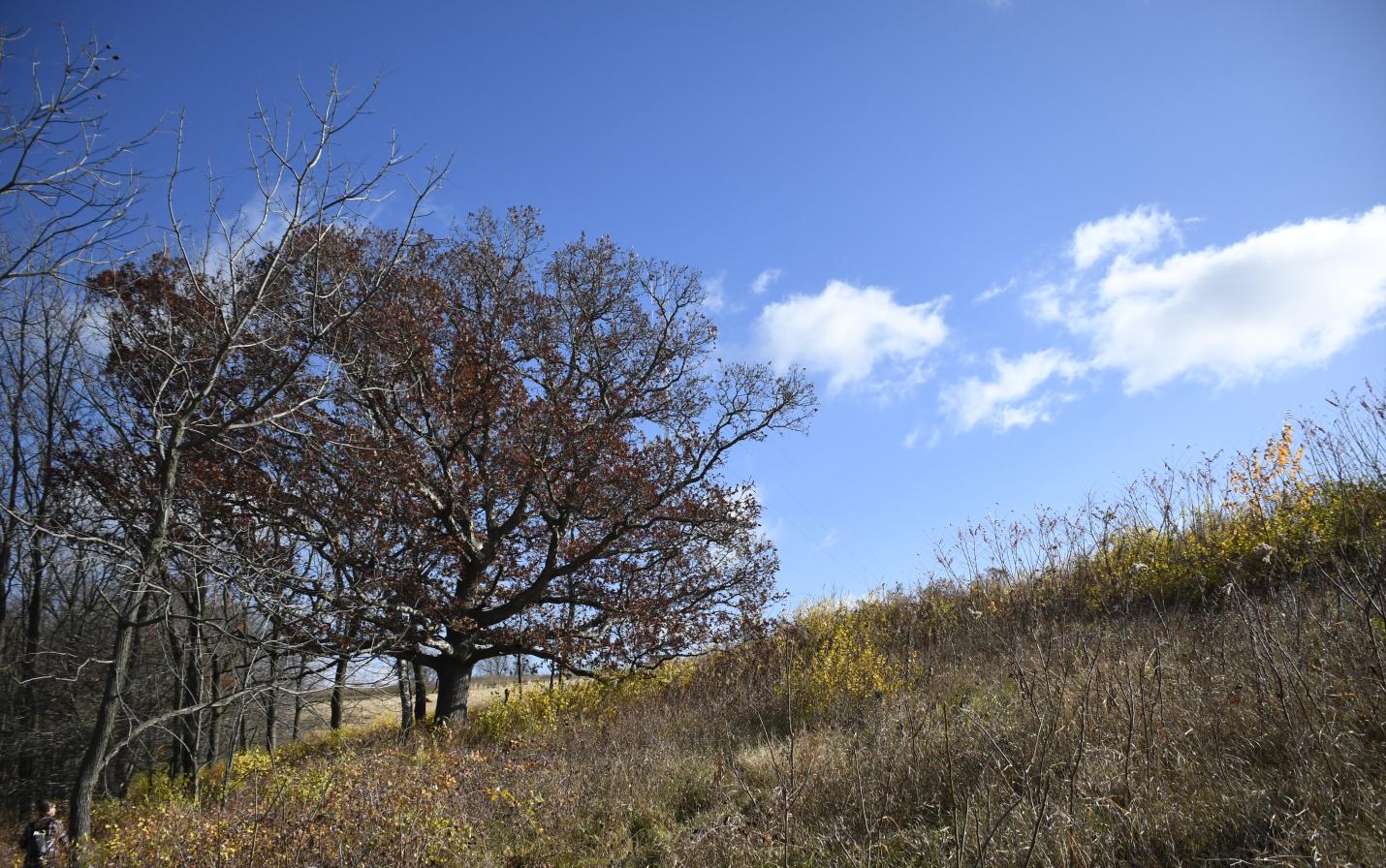 Establishing permanent native cover on highly erodible land where row crops were previously grown at the Helgren & Radek property in Crawford County.