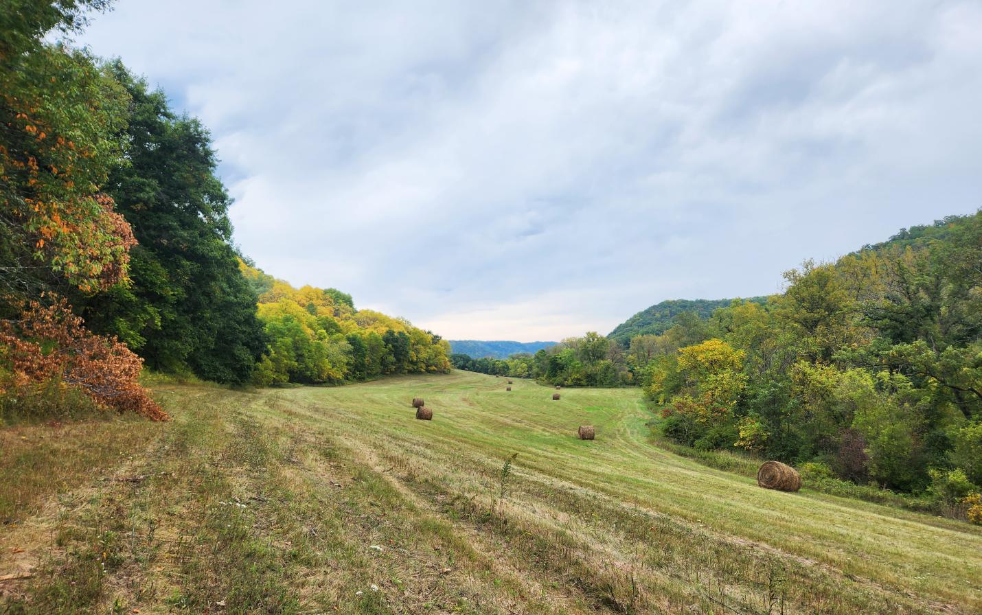 Hayfield on Slayton property