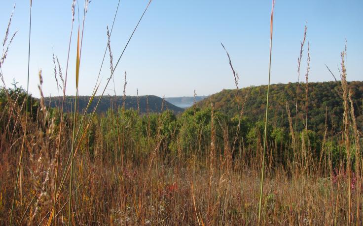 Mississippi River Valley