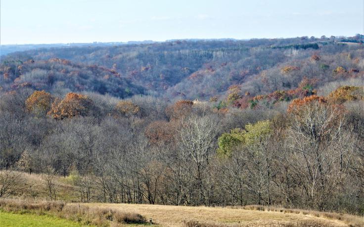 Ridgetop view