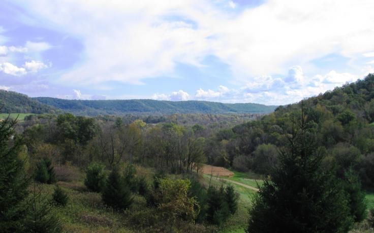 View from Kube Farm