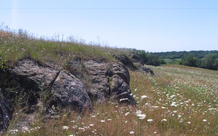 Borah Creek Prairie