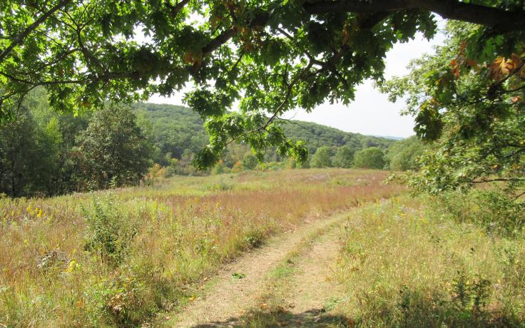 View of Barlow prairie in Monroe County