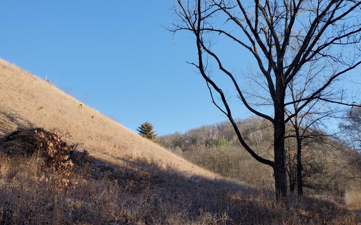 View of Boscobel Bluffs nature preserve