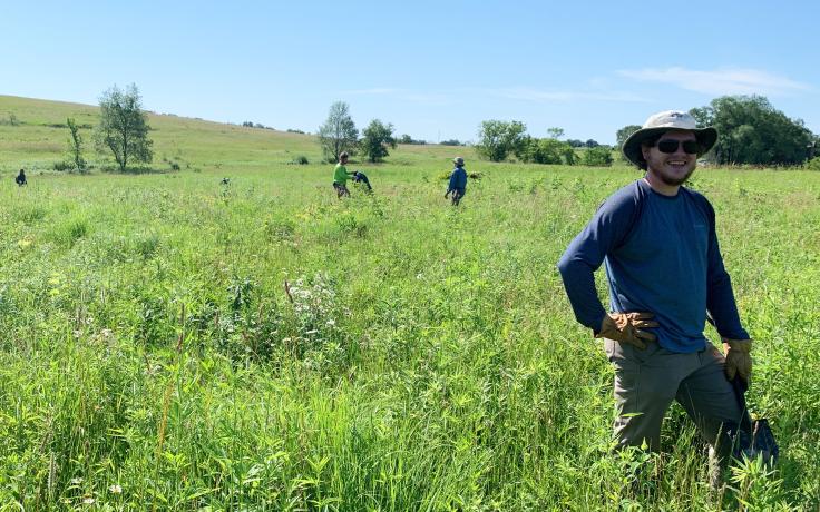 photo of interns removing invasive species on protected land