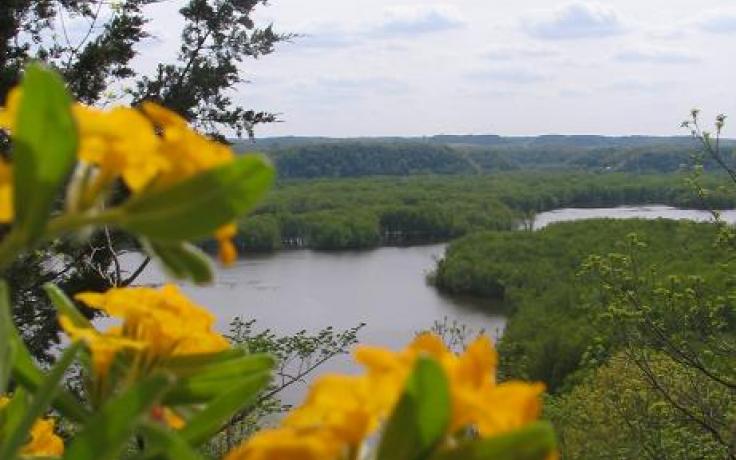 View from Cassville Bluff