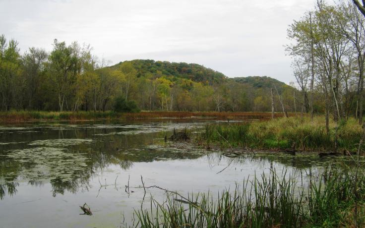 Kickapoo Bottoms