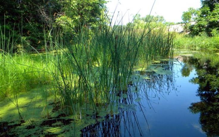 Trempealeau Lakes